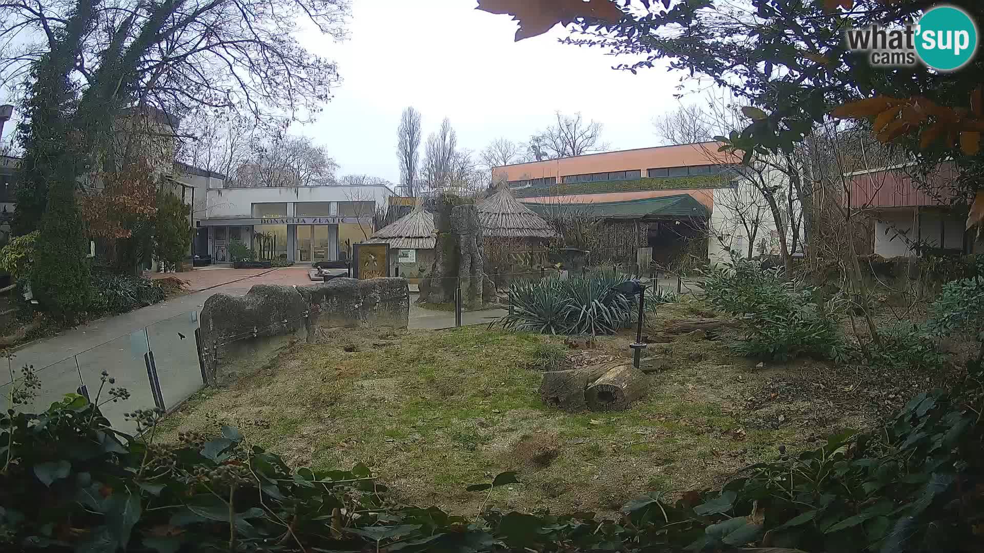 Zoo Zagreb – Erdmännchen