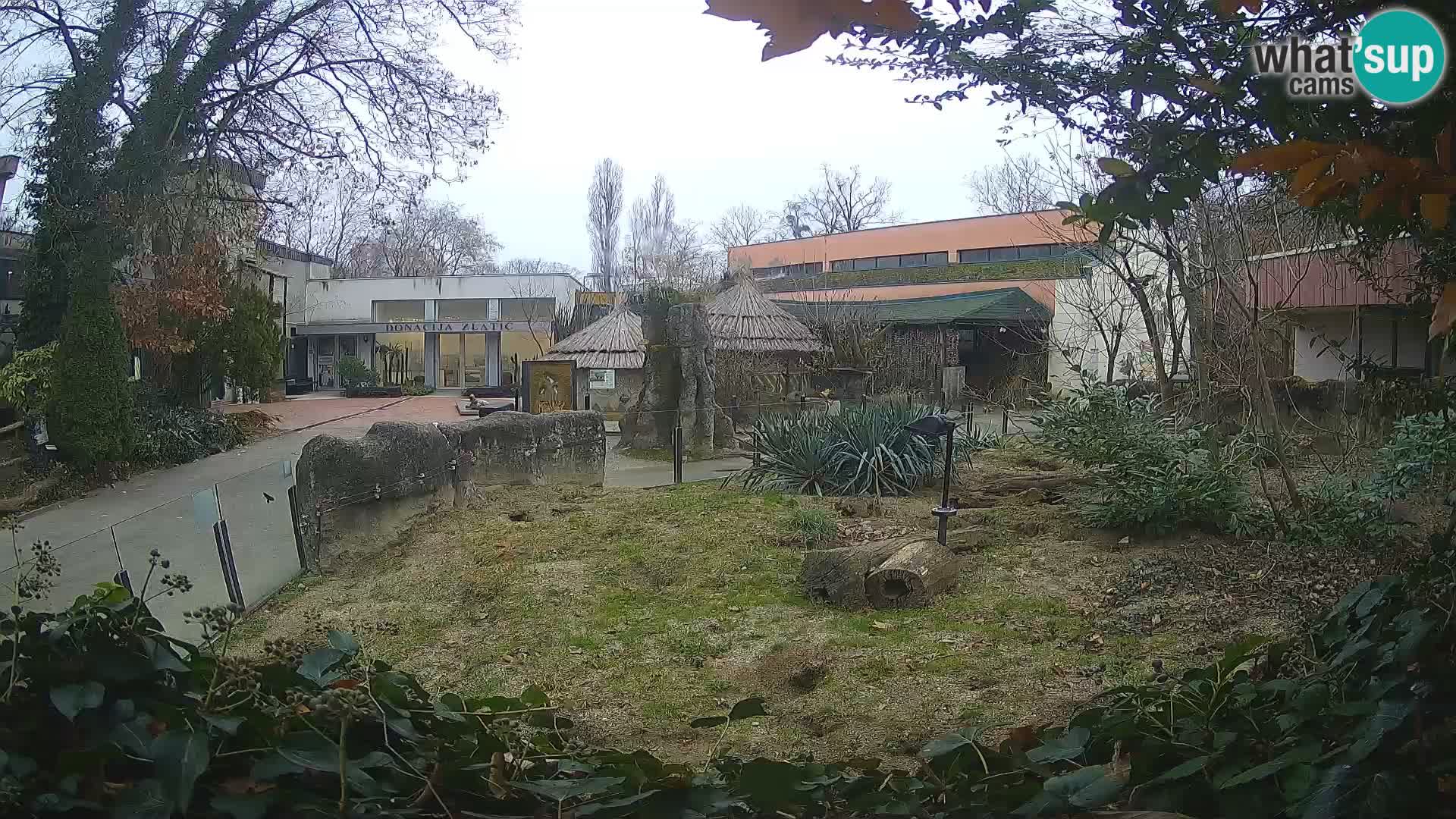 Zoo Zagreb – Erdmännchen