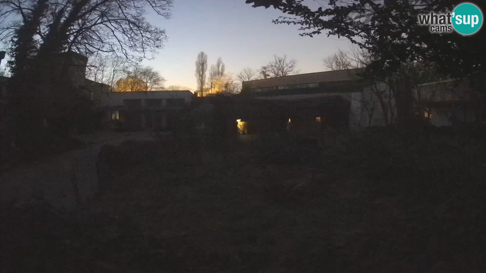 Zoo Zagreb – Erdmännchen