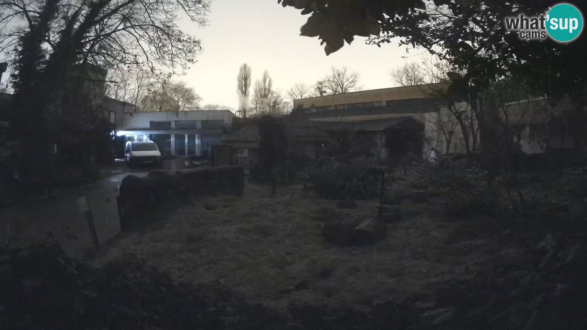 Zoo Zagreb – Surikate