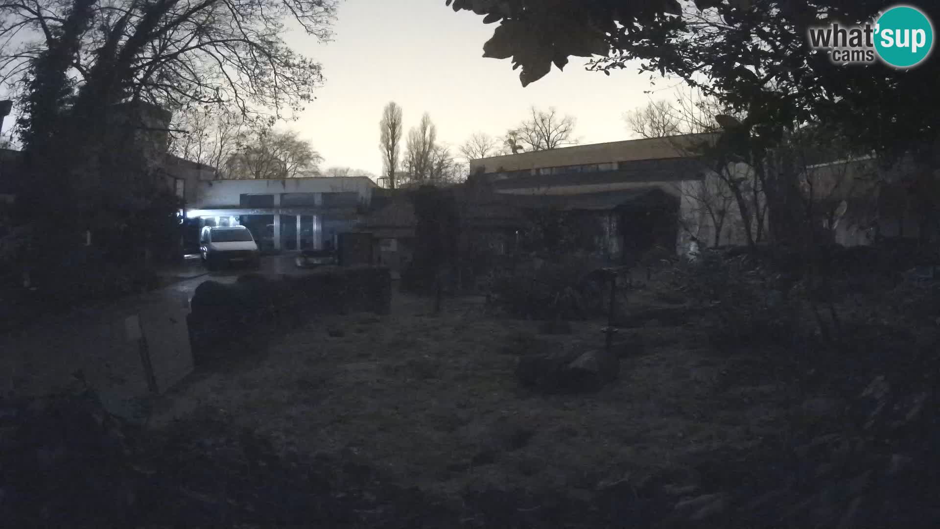 Zoo Zagreb – Surikate