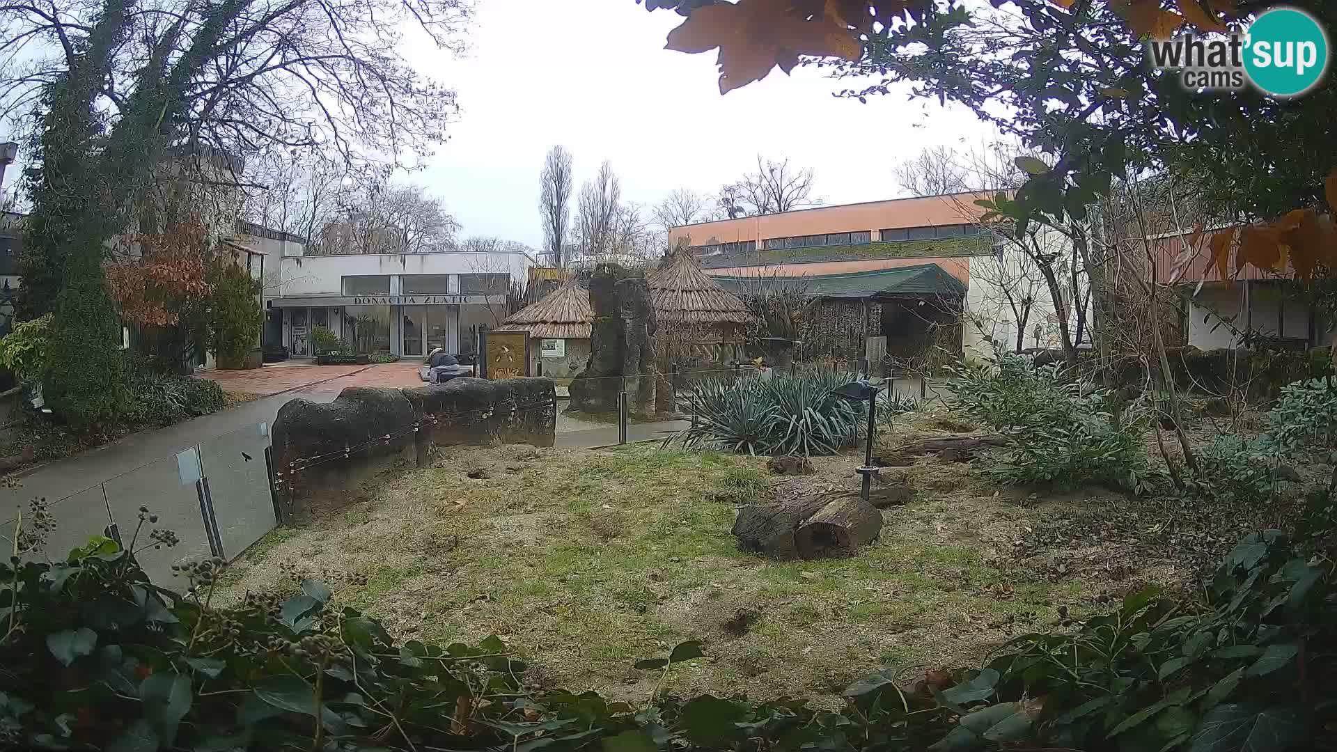 Zoo Zagreb – Erdmännchen