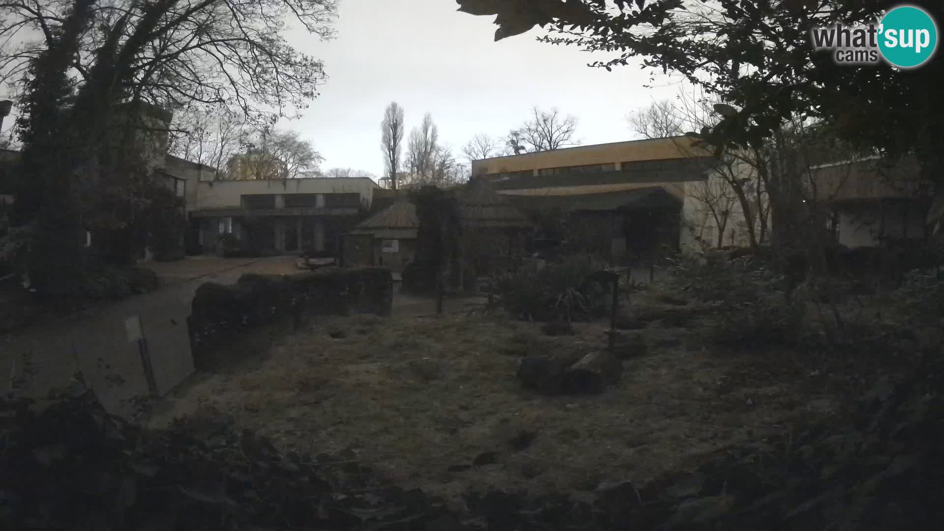 Zoo Zagreb – Erdmännchen