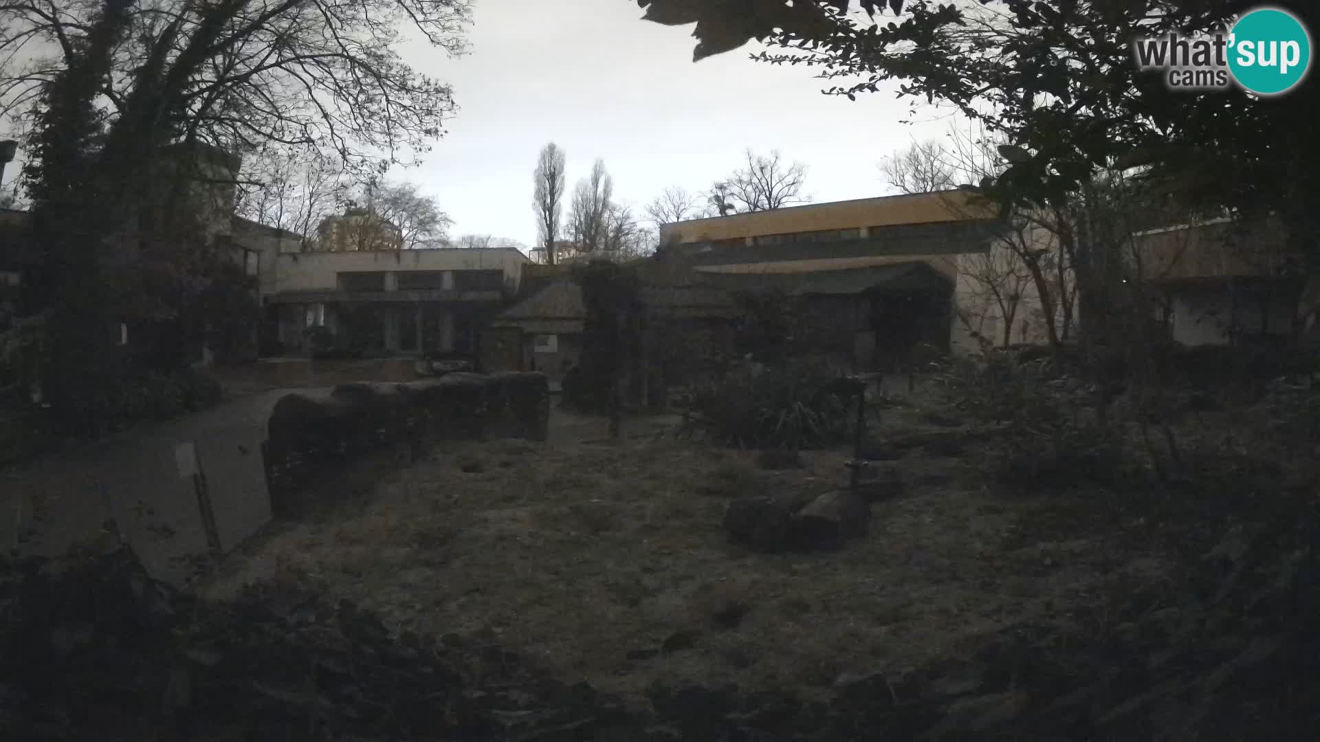 Zoo Zagreb – Erdmännchen