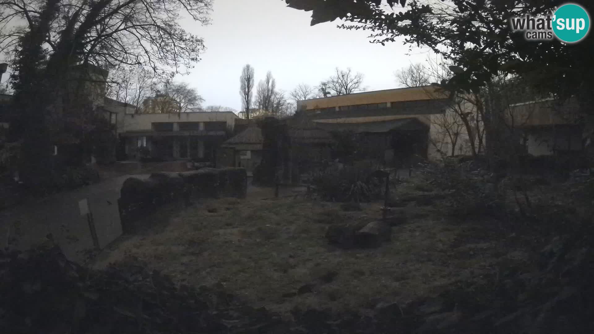 Zoo Zagreb – Erdmännchen