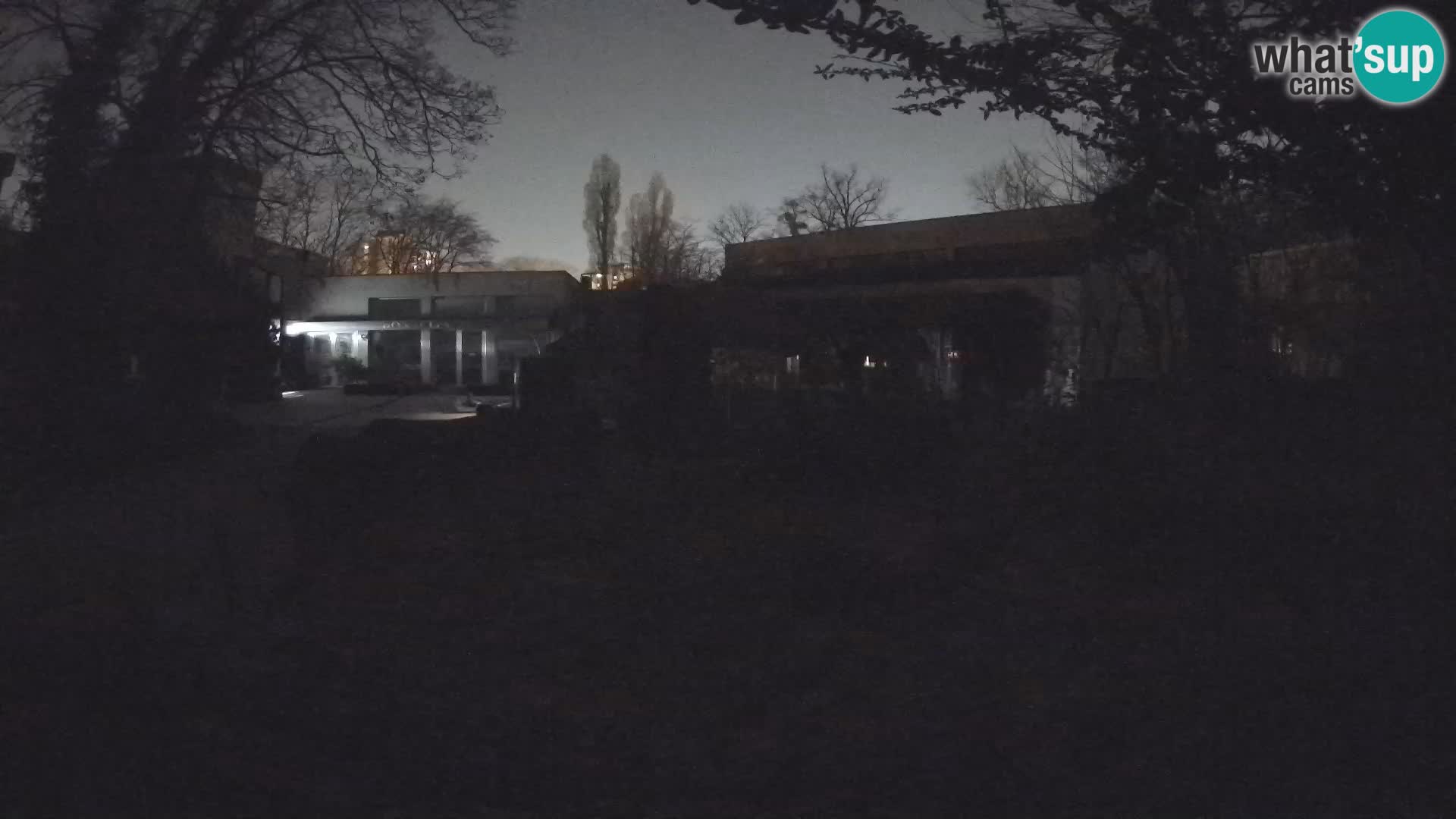 Zoo Zagreb – Surikate