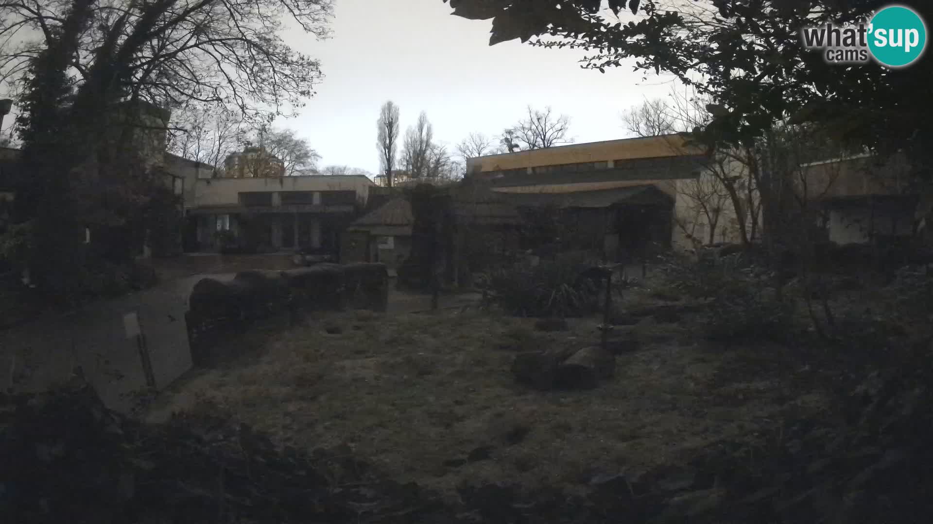 Zoo Zagreb – Erdmännchen