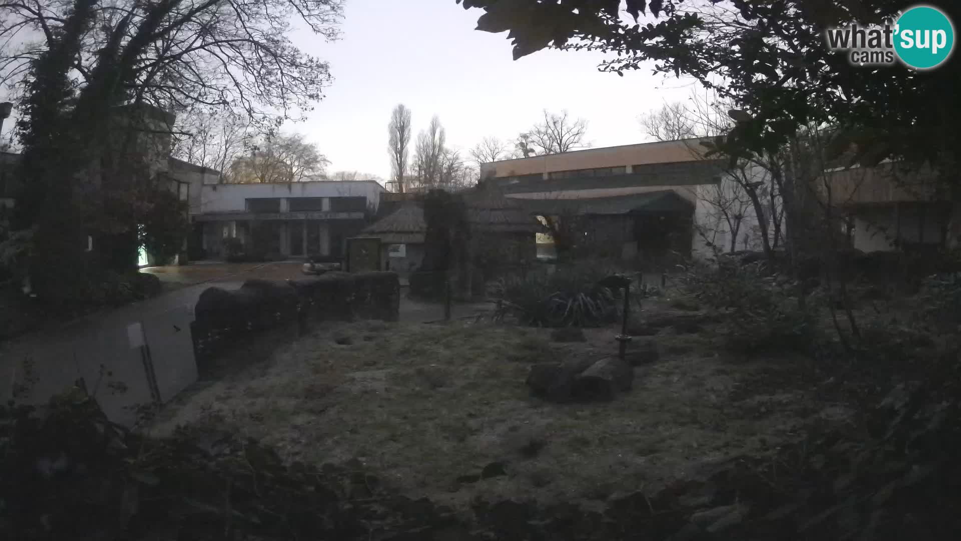 Zoo Zagreb – Surikate