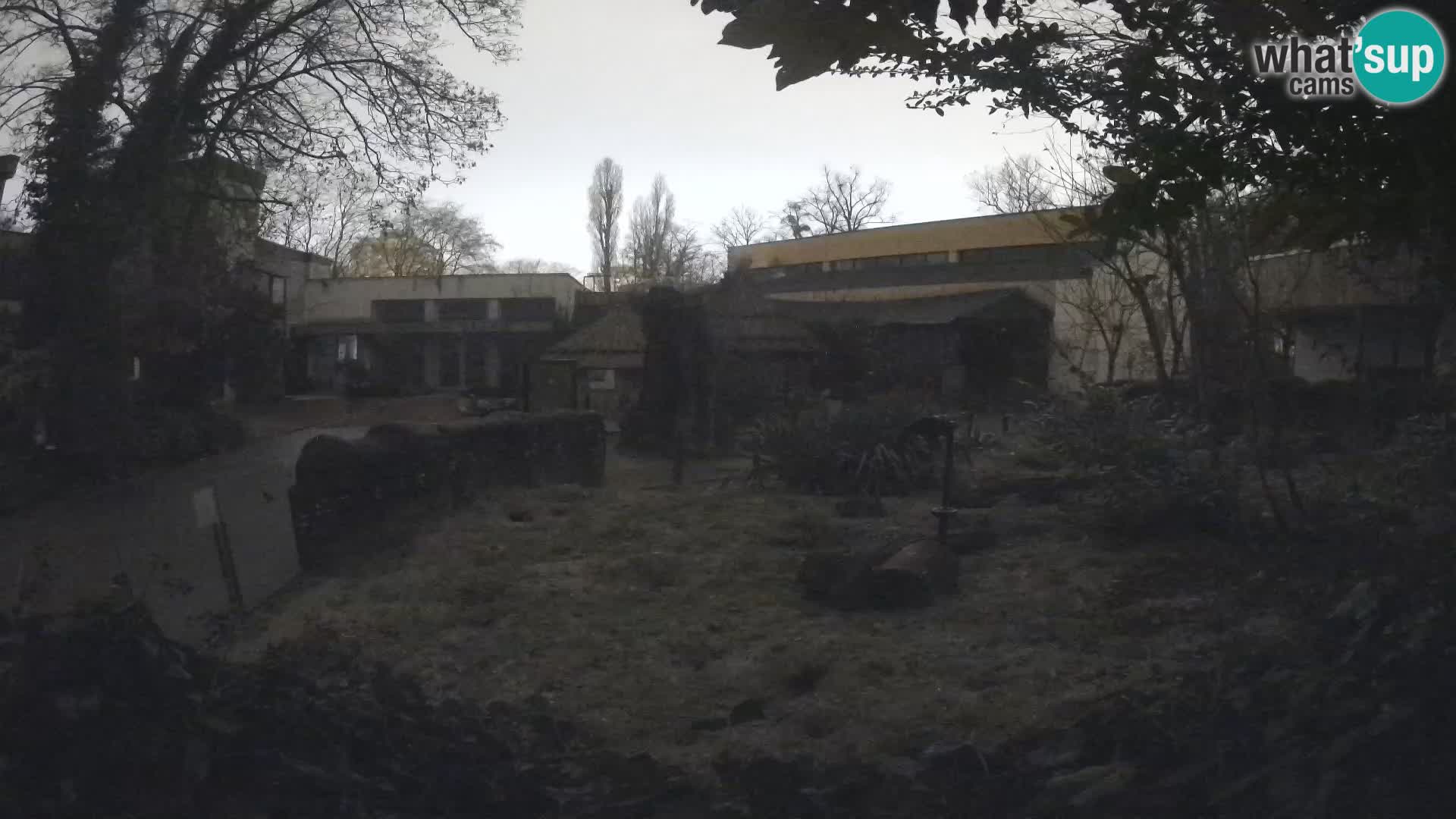 Zoo Zagreb – Erdmännchen