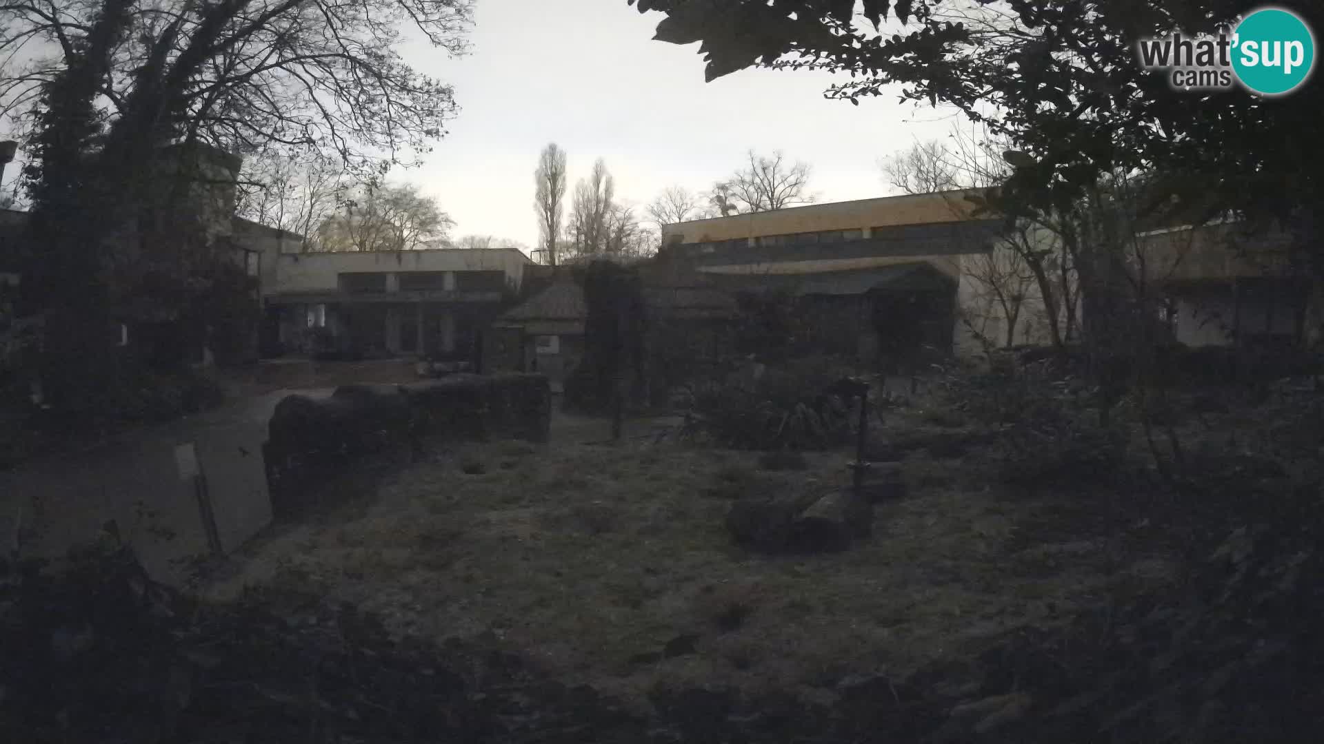 Zoo Zagreb – Erdmännchen