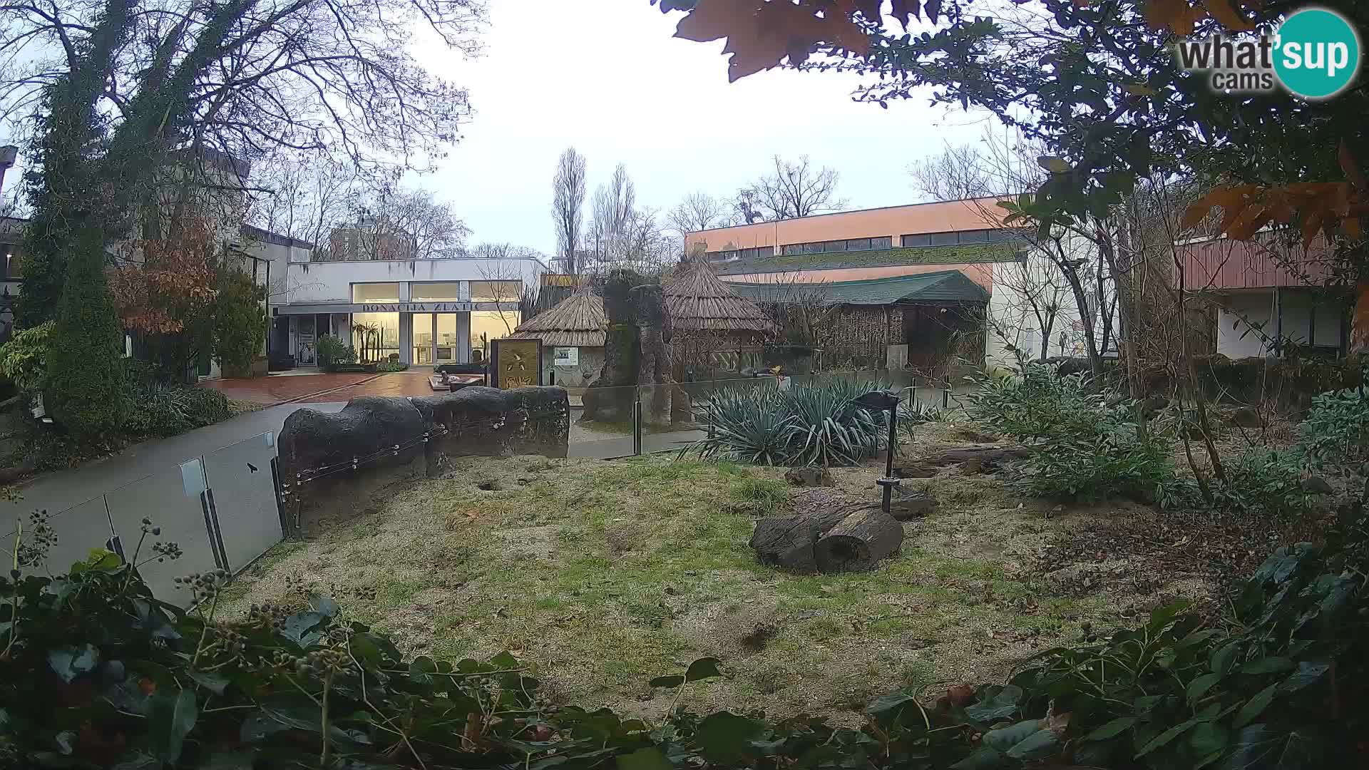 Zoo Zagreb – Surikate