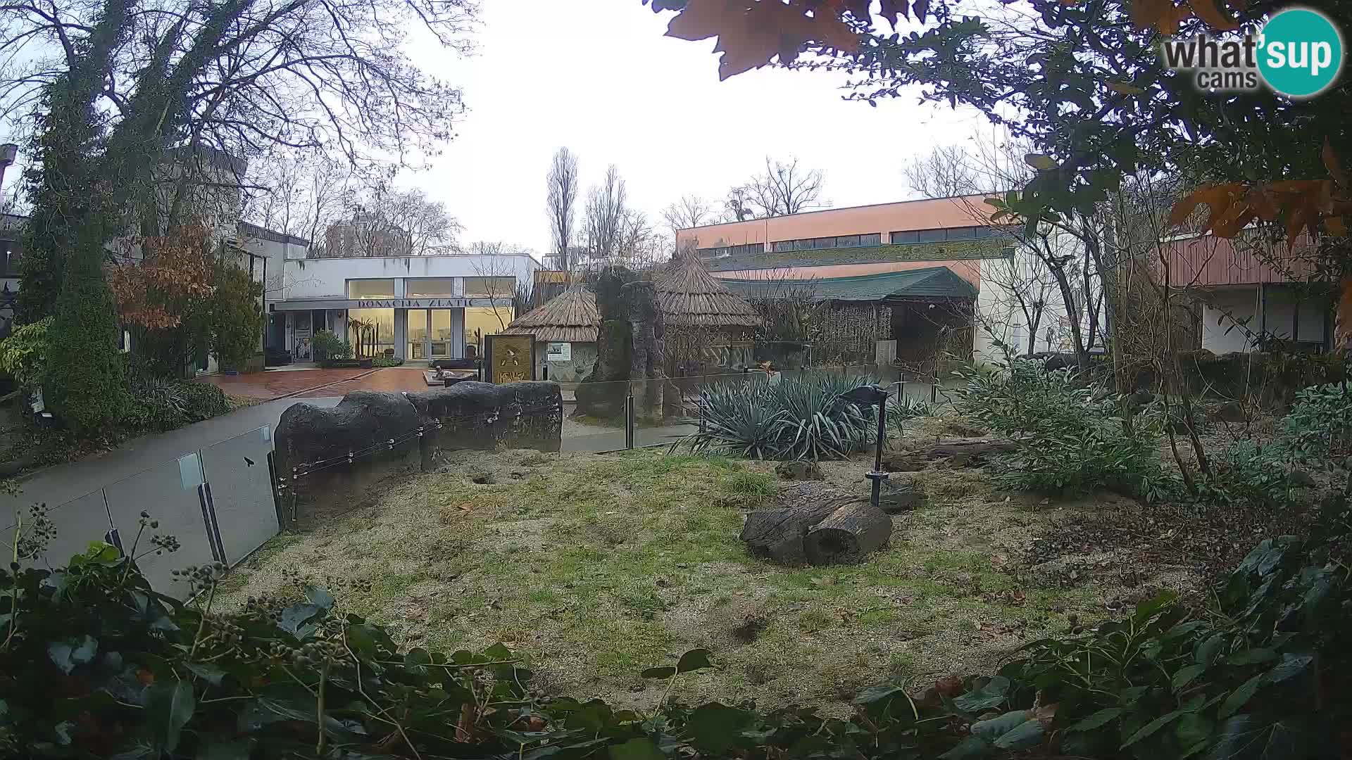 Zoo Zagreb – Merkat