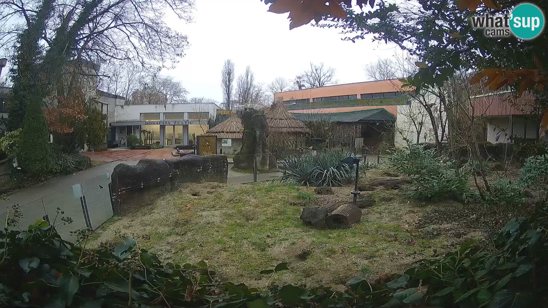 Zoo Zagreb – Erdmännchen