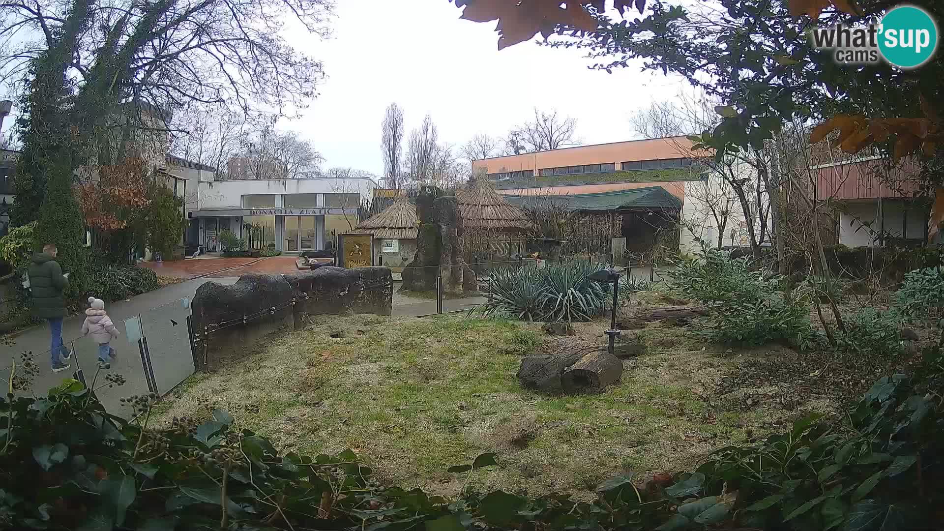 Zoo Zagreb – Suricata