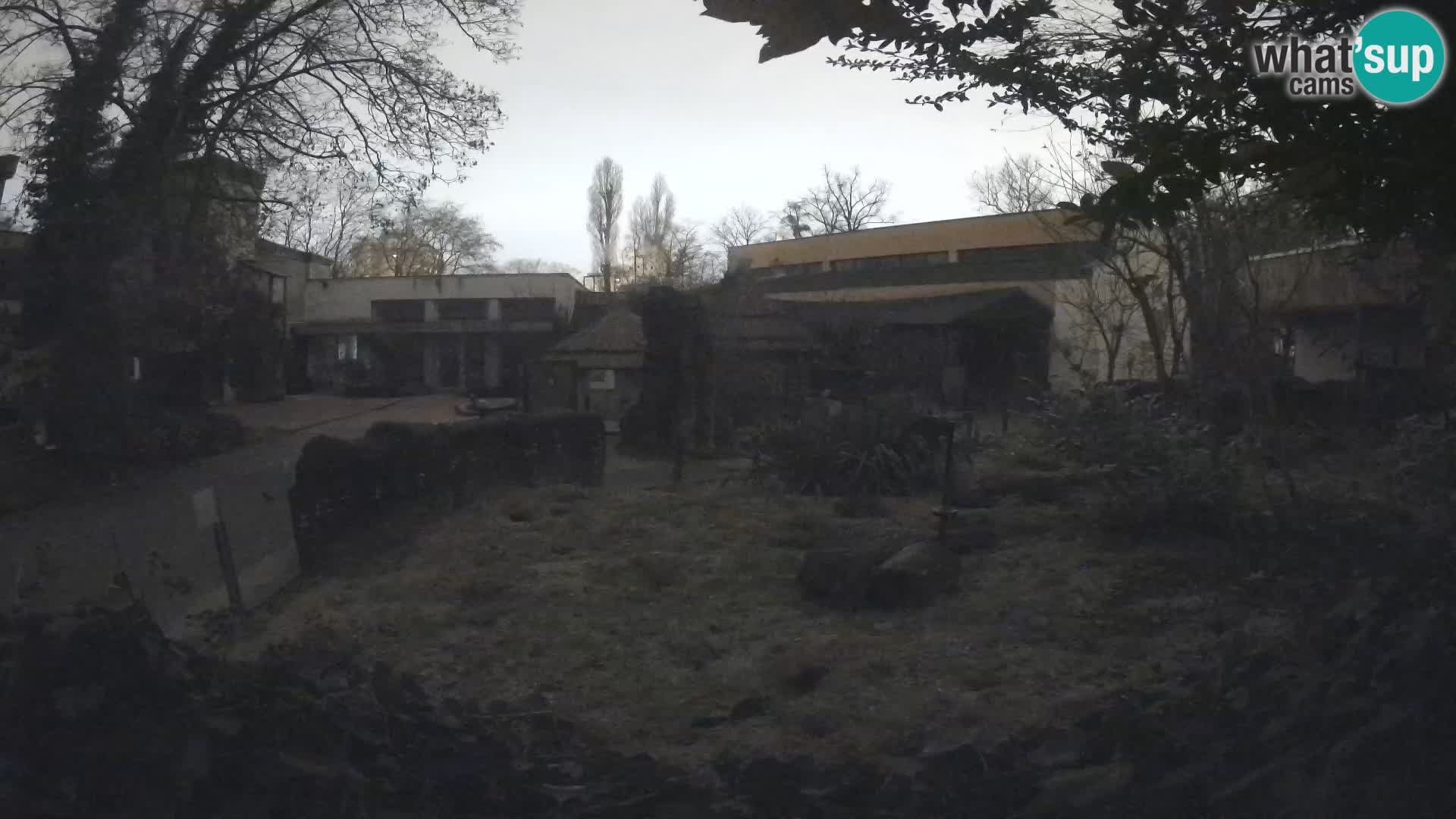 Zoo Zagreb – Erdmännchen