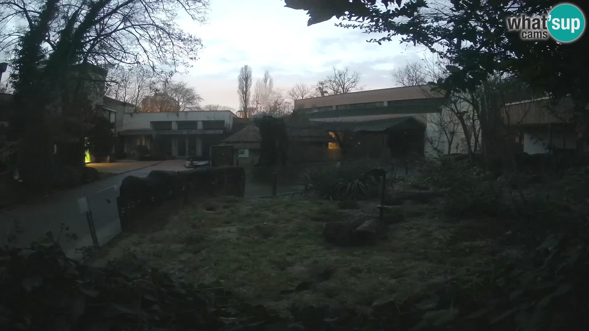 Zoo Zagreb – Merkat