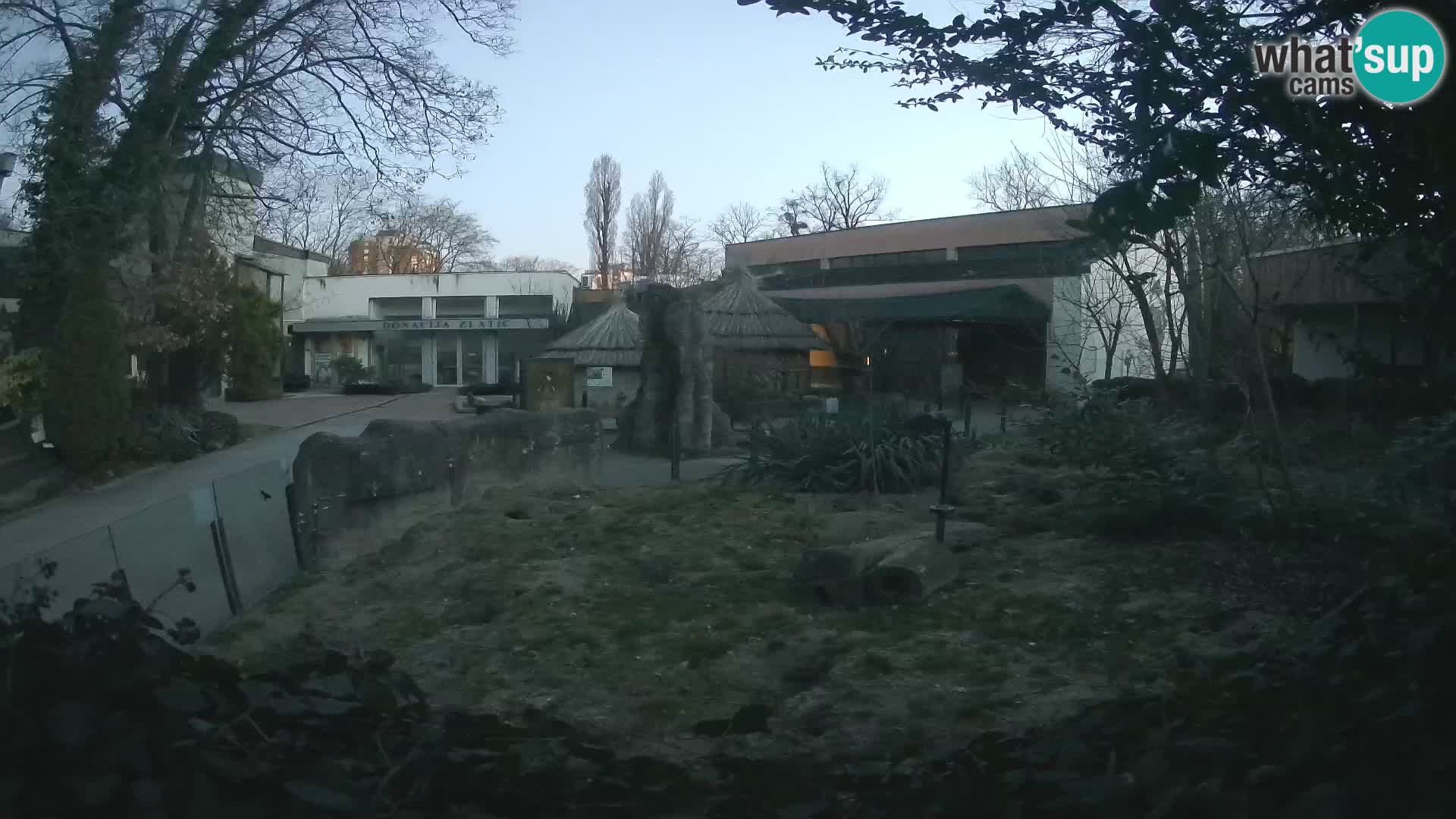 Zoo Zagreb – Merkat