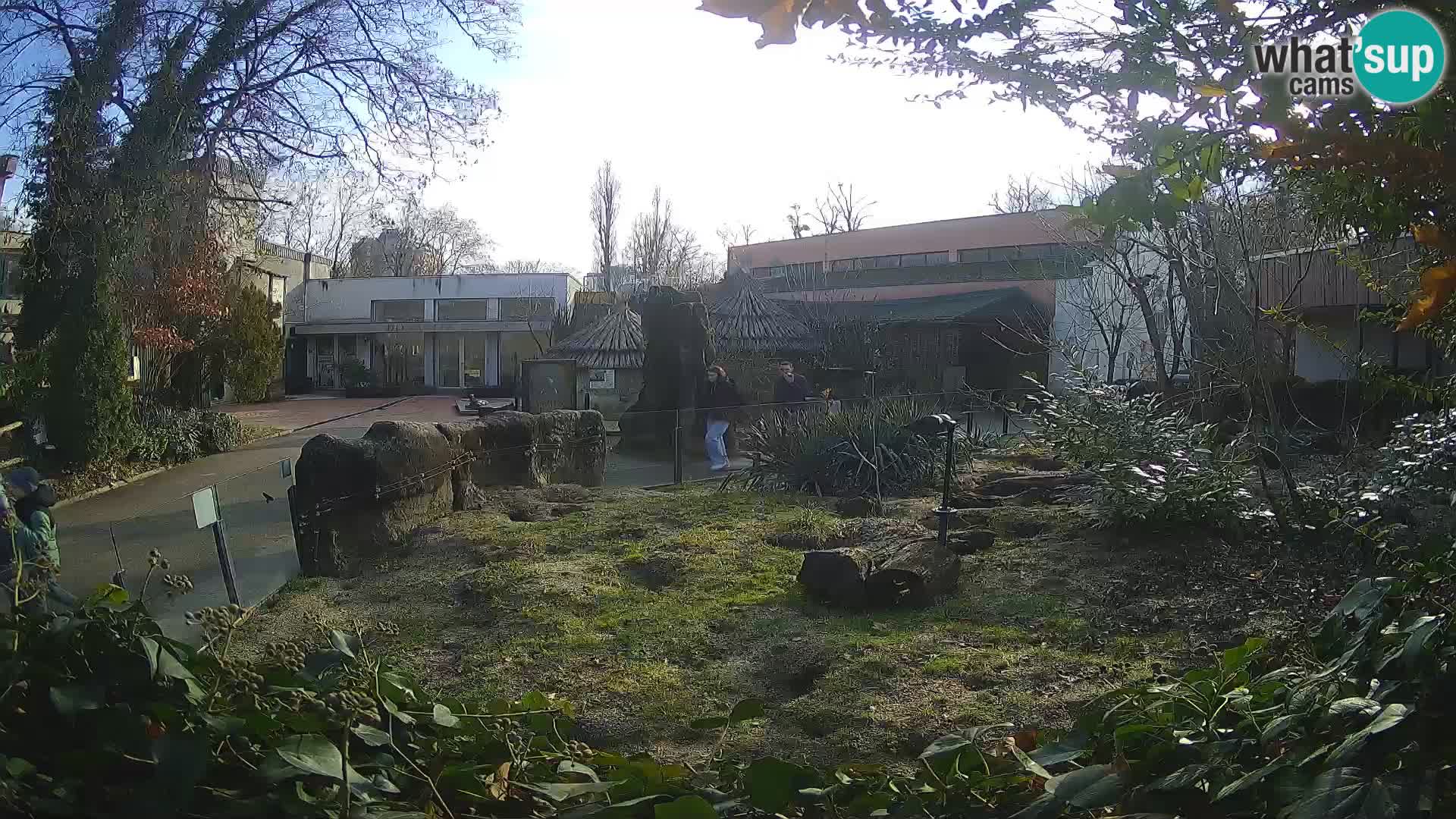 Zoo Zagreb – Merkat