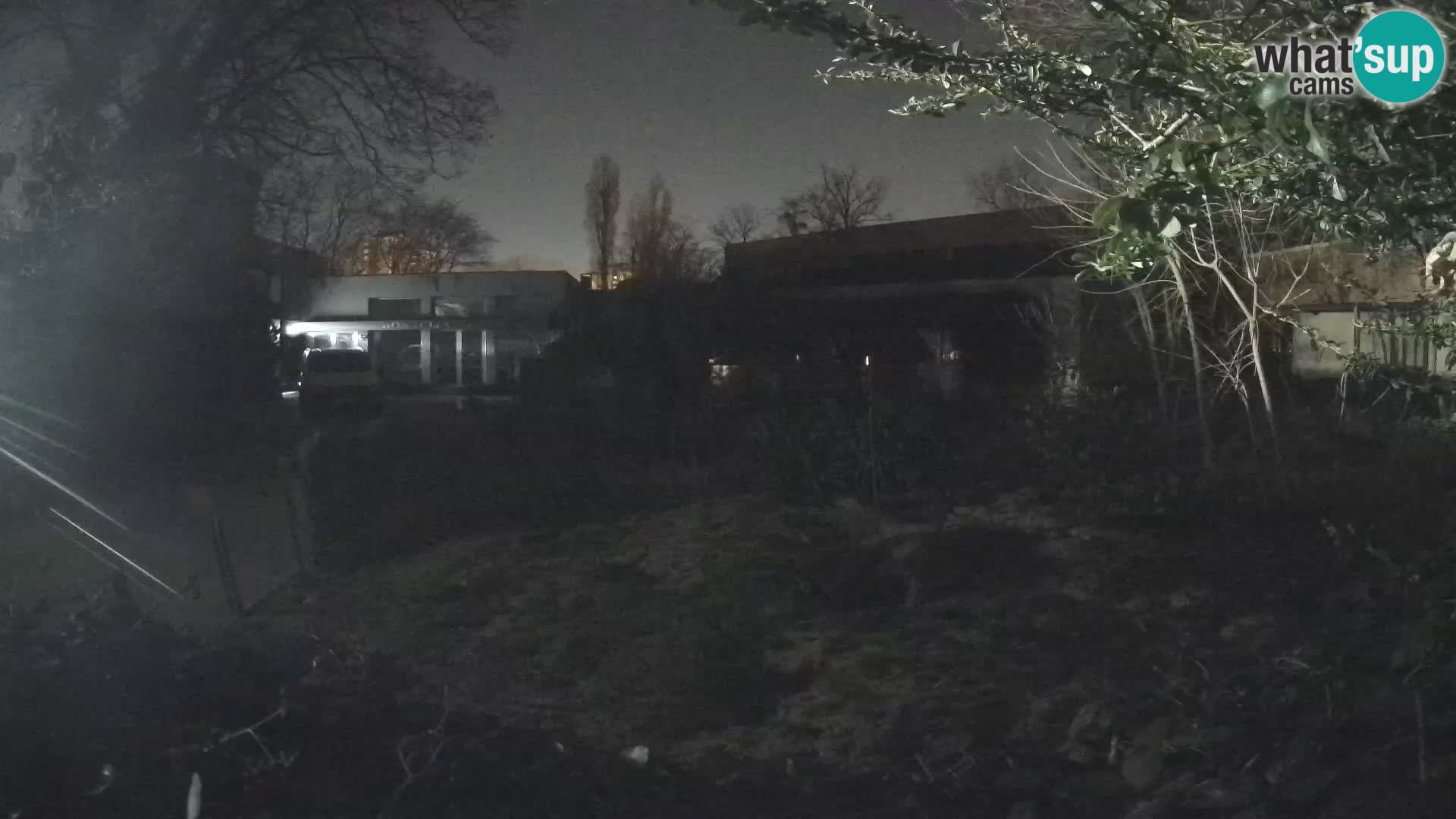 Zoo Zagreb – Surikate