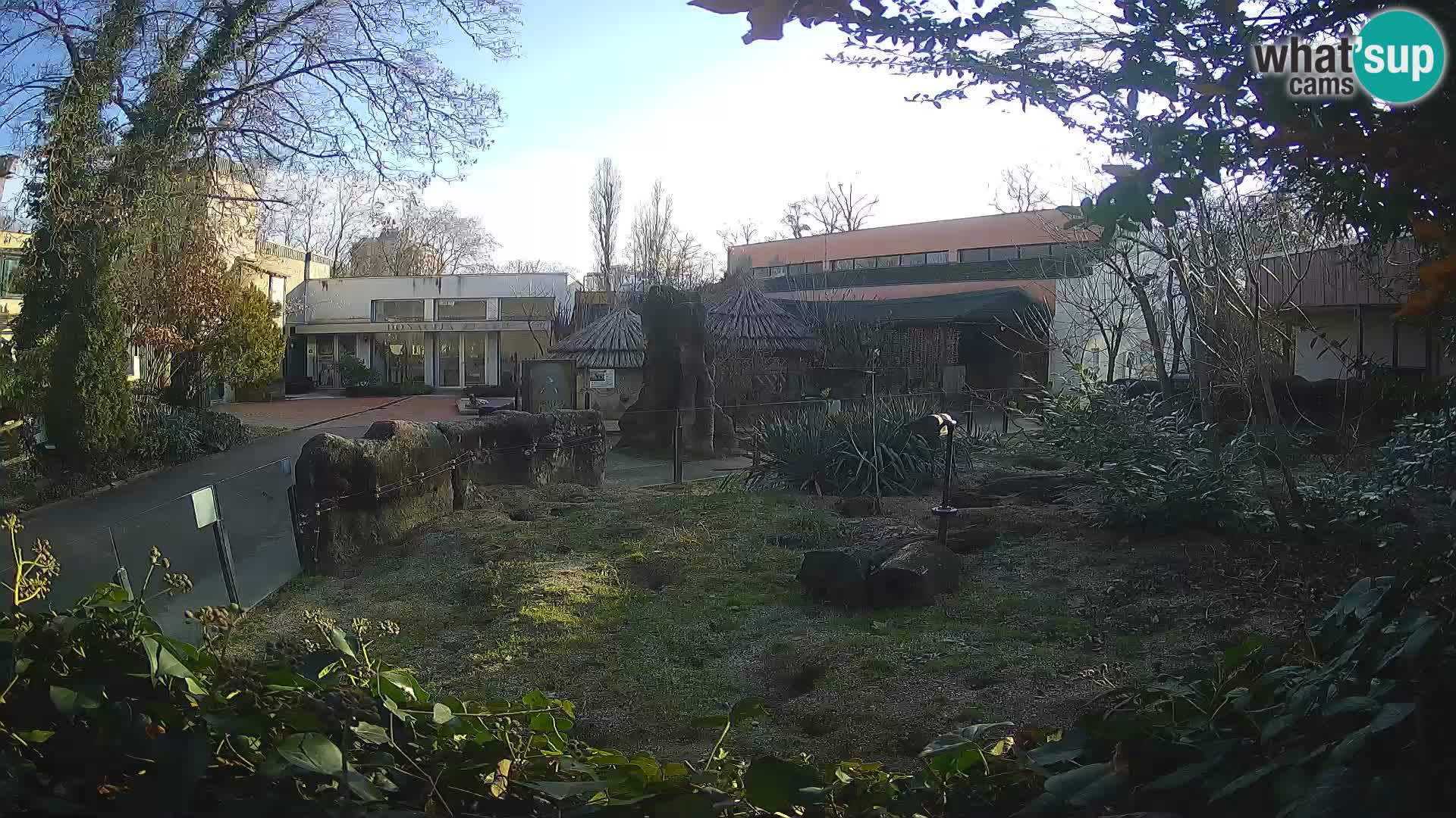 Zoo Zagreb – Merkat