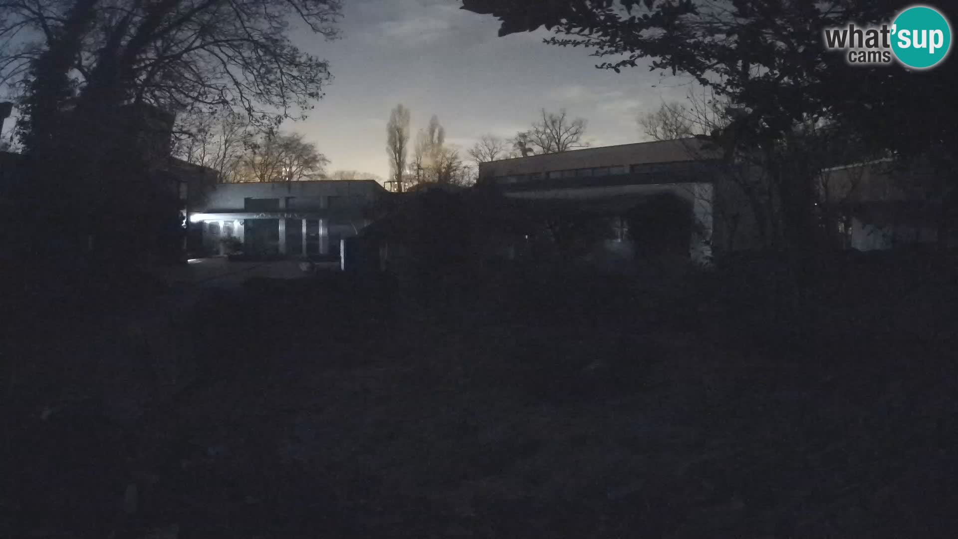 Zoo Zagreb – Surikate