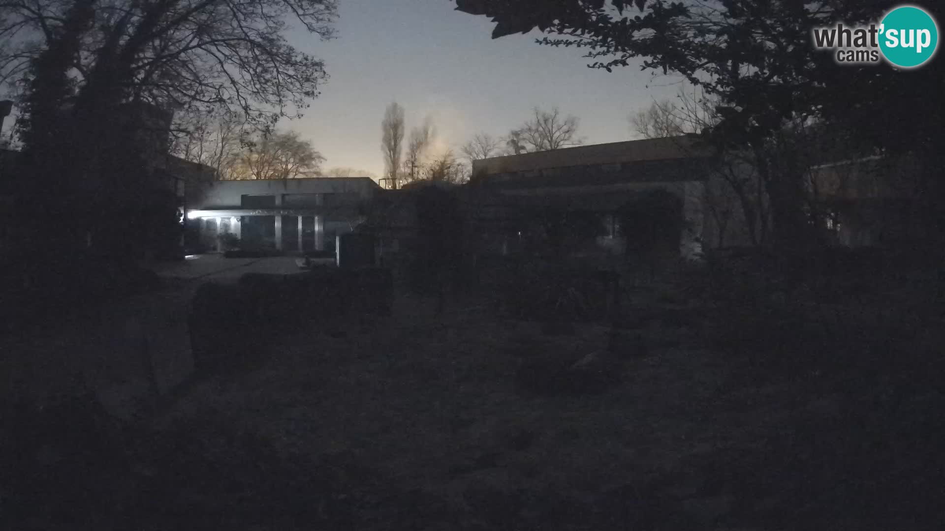 Zoo Zagreb – Surikate