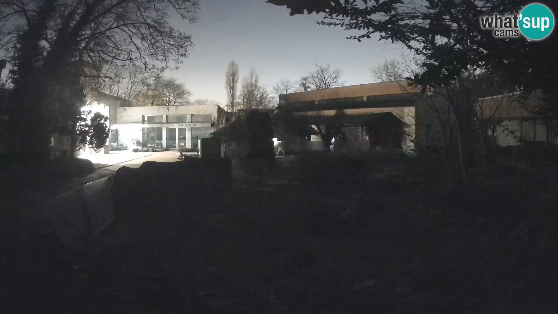 Zoo Zagreb – Surikate