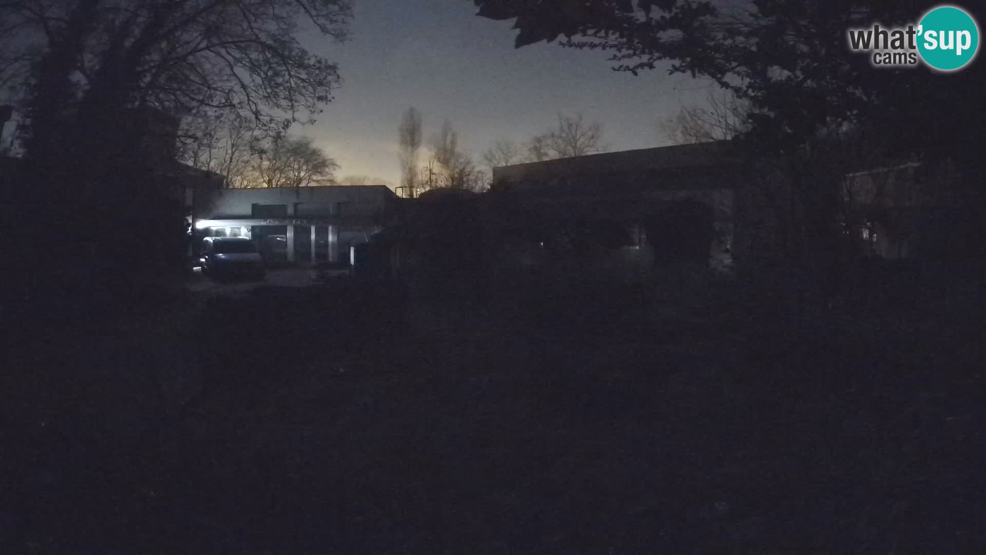 Zoo Zagreb – Erdmännchen