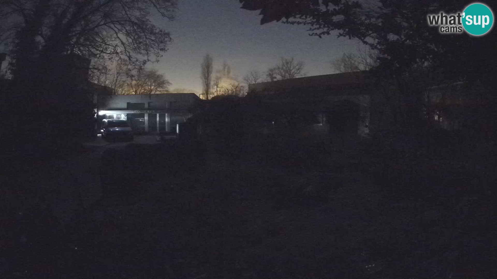 Zoo Zagreb – Erdmännchen