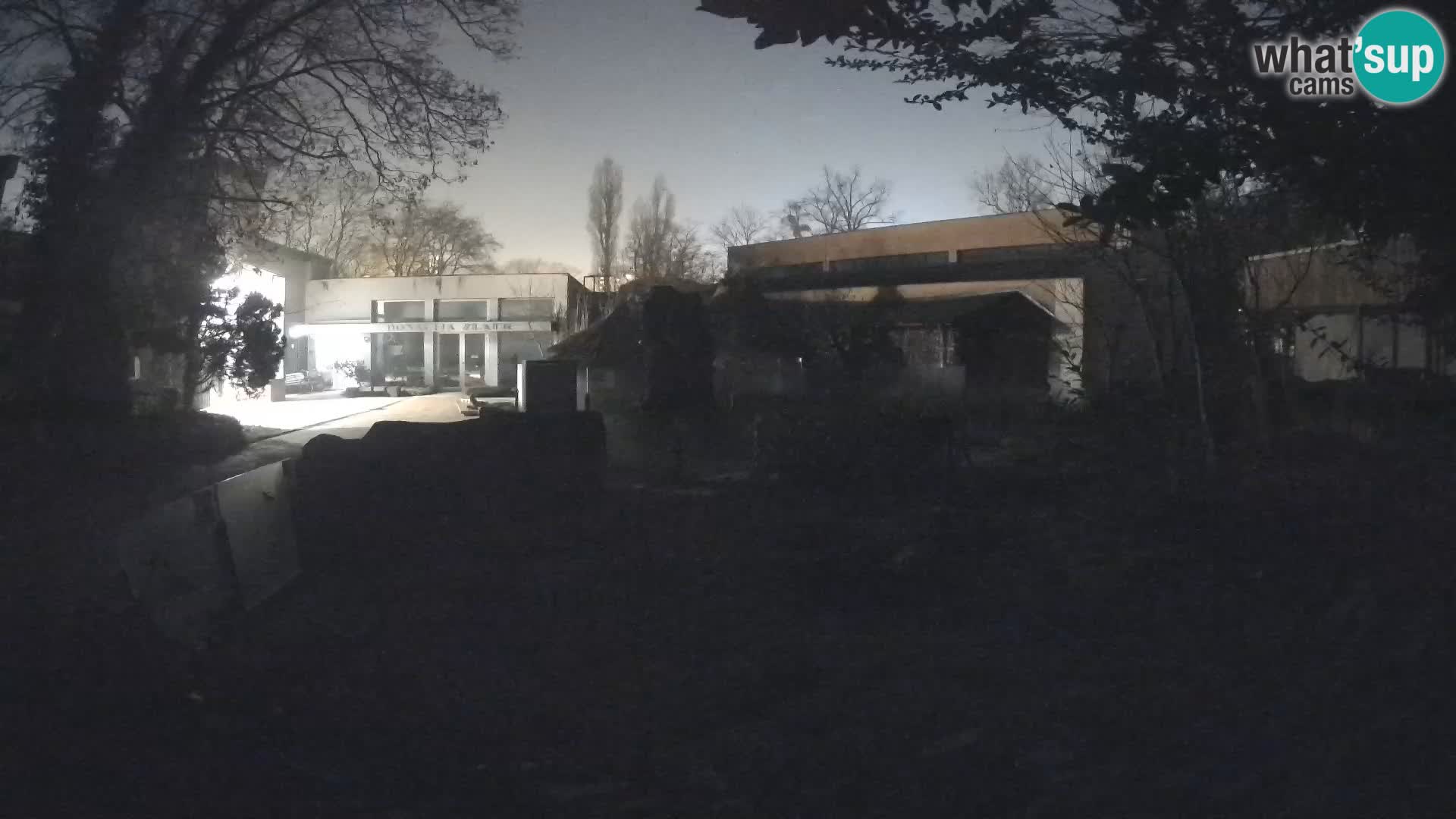 Zoo Zagreb – Erdmännchen