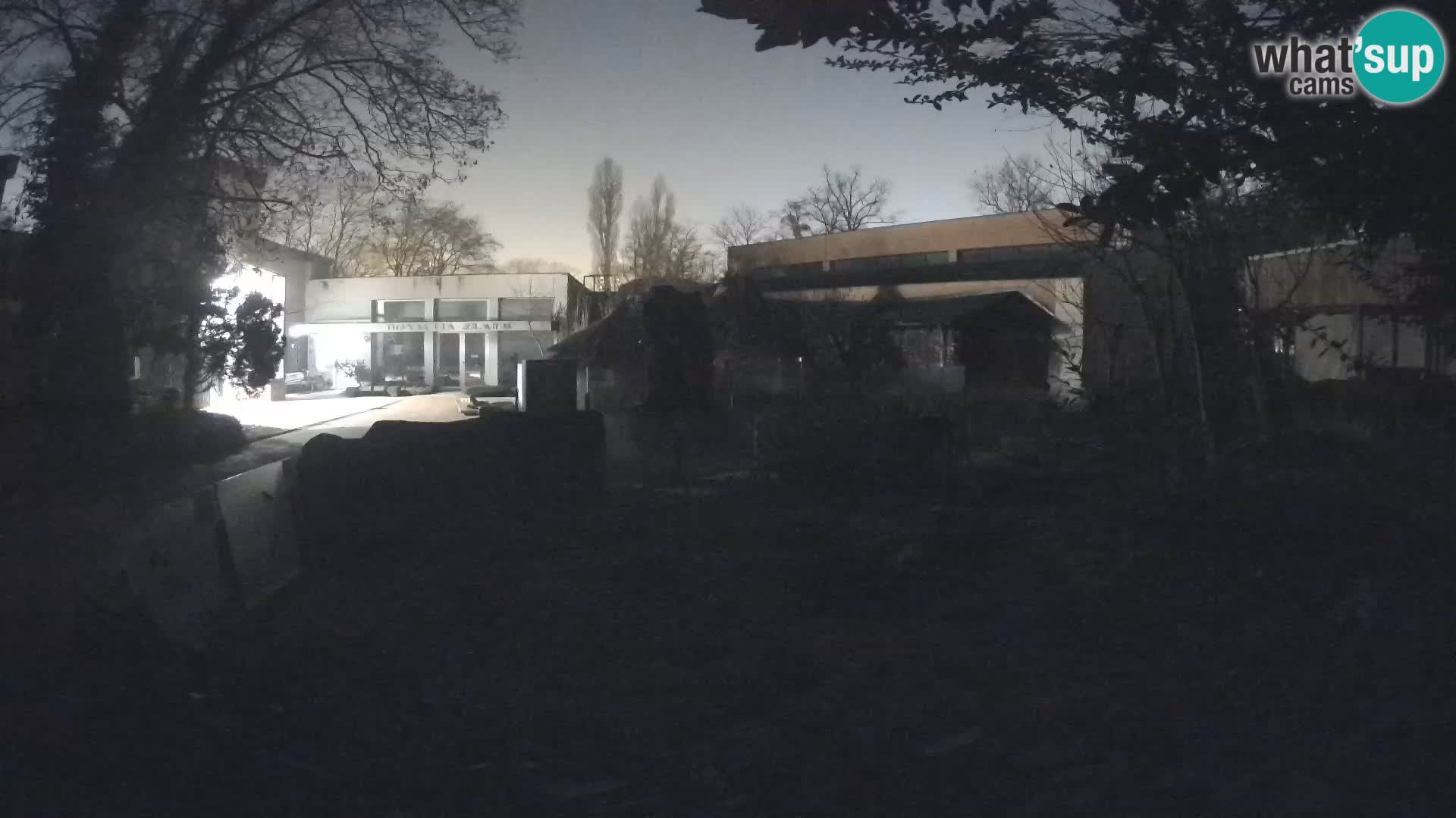 Zoo Zagreb – Erdmännchen