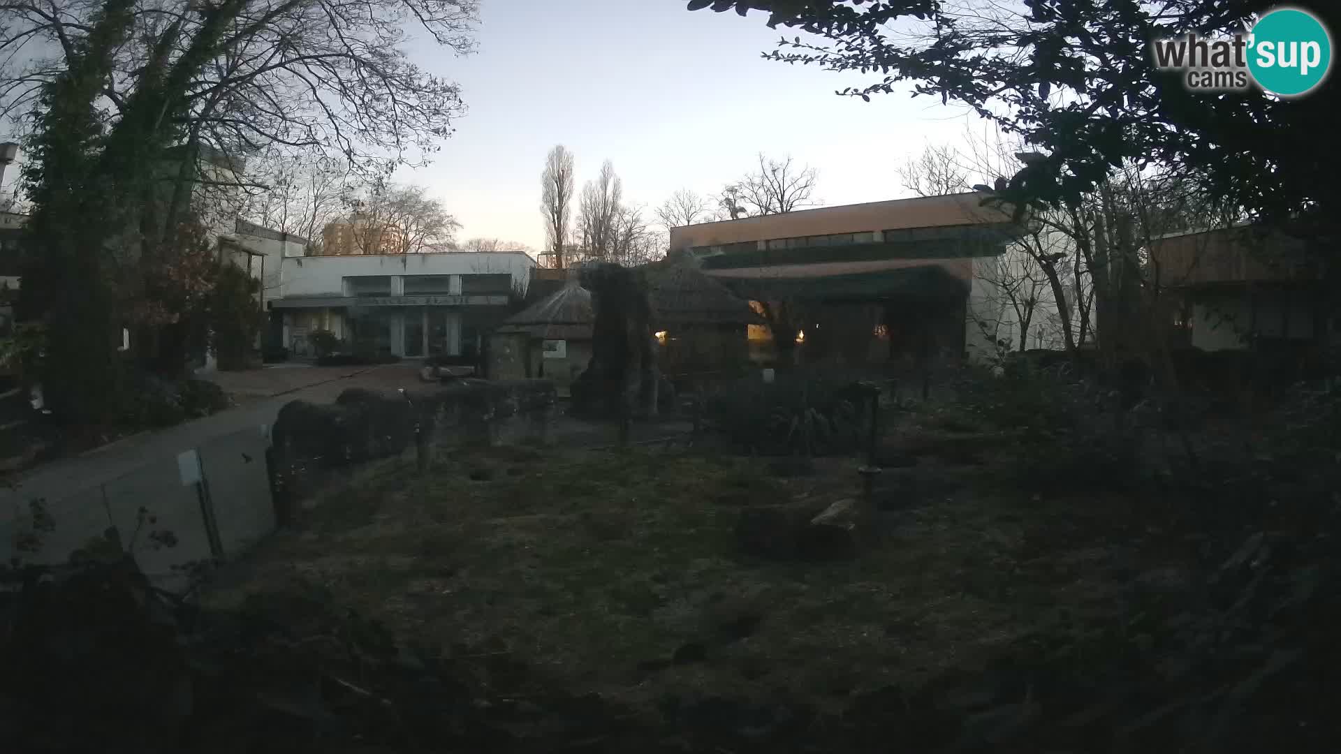 Zoo Zagreb – Erdmännchen