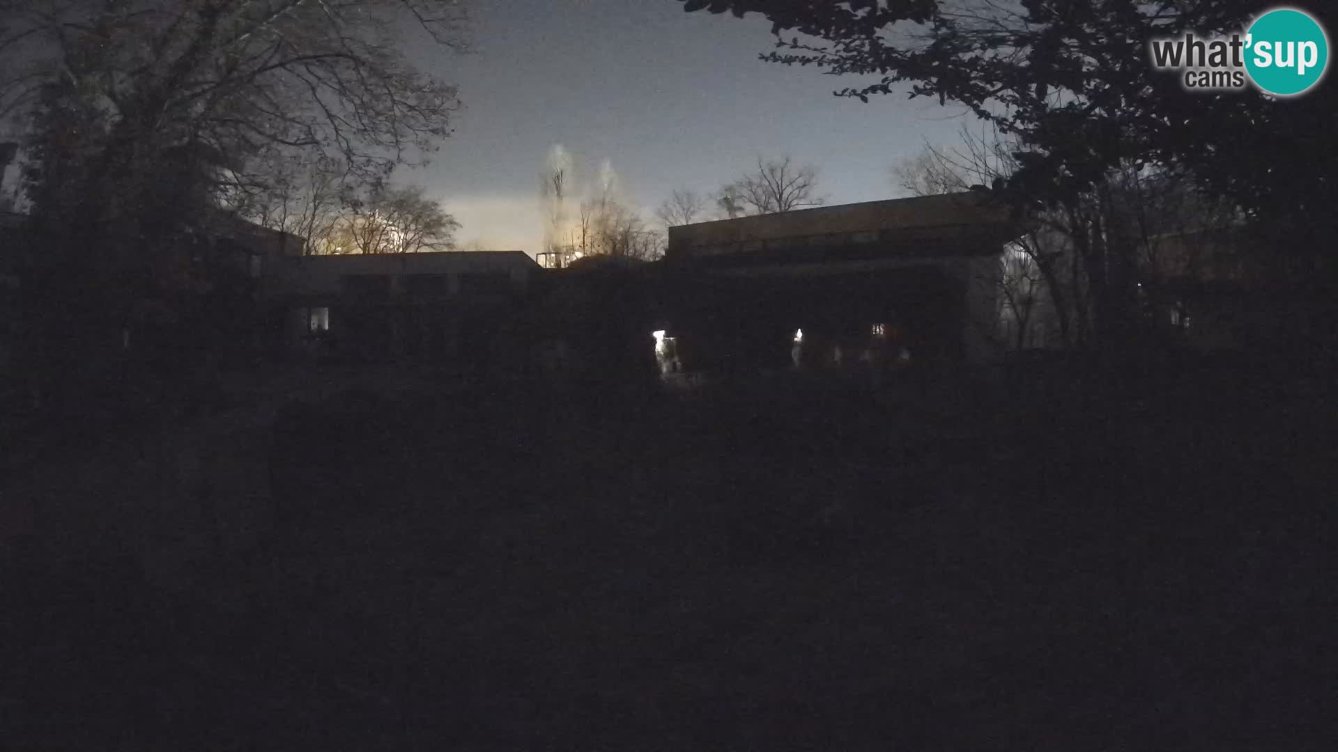 Zoo Zagreb – Merkat