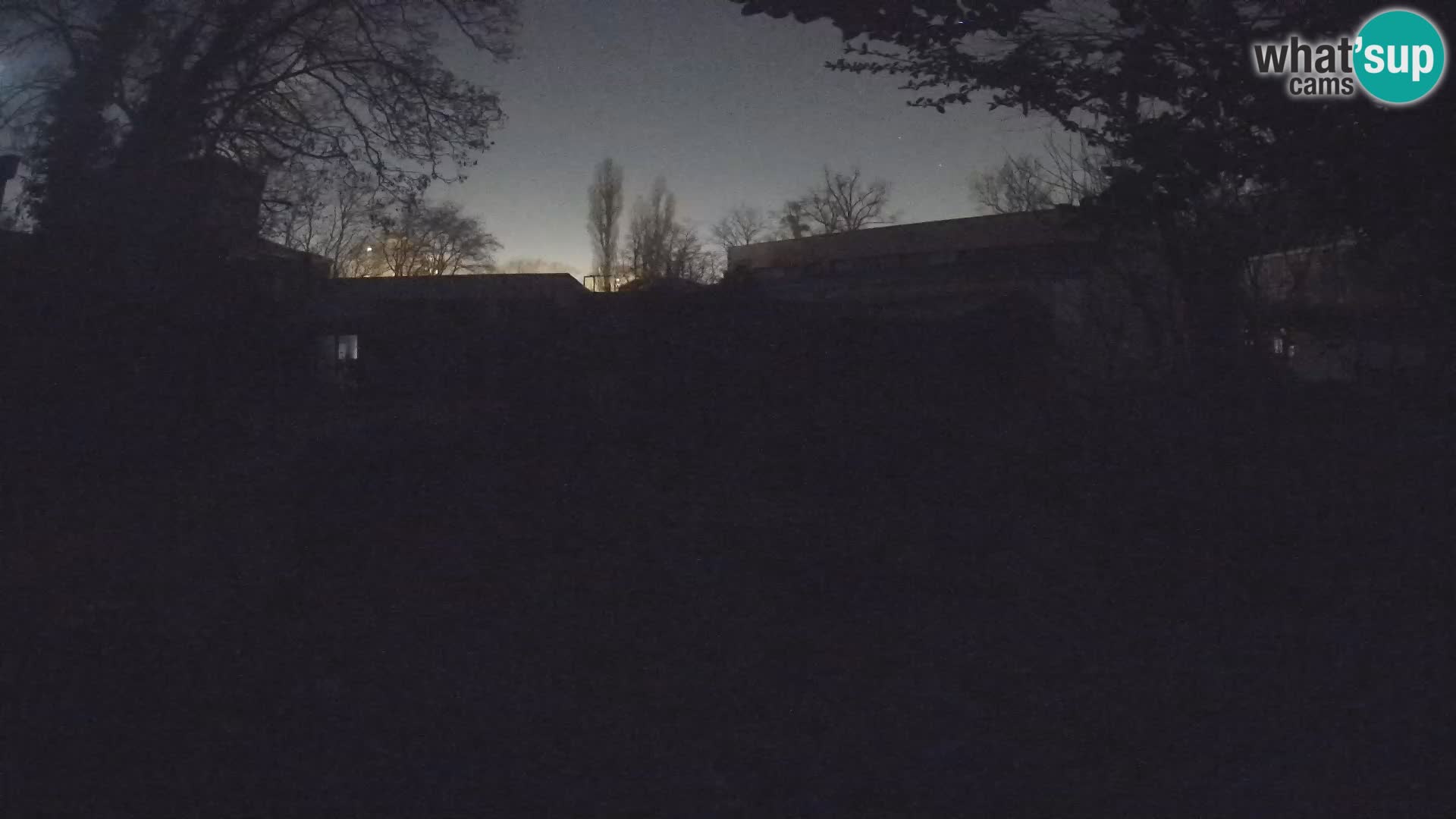 Zoo Zagreb – Merkat