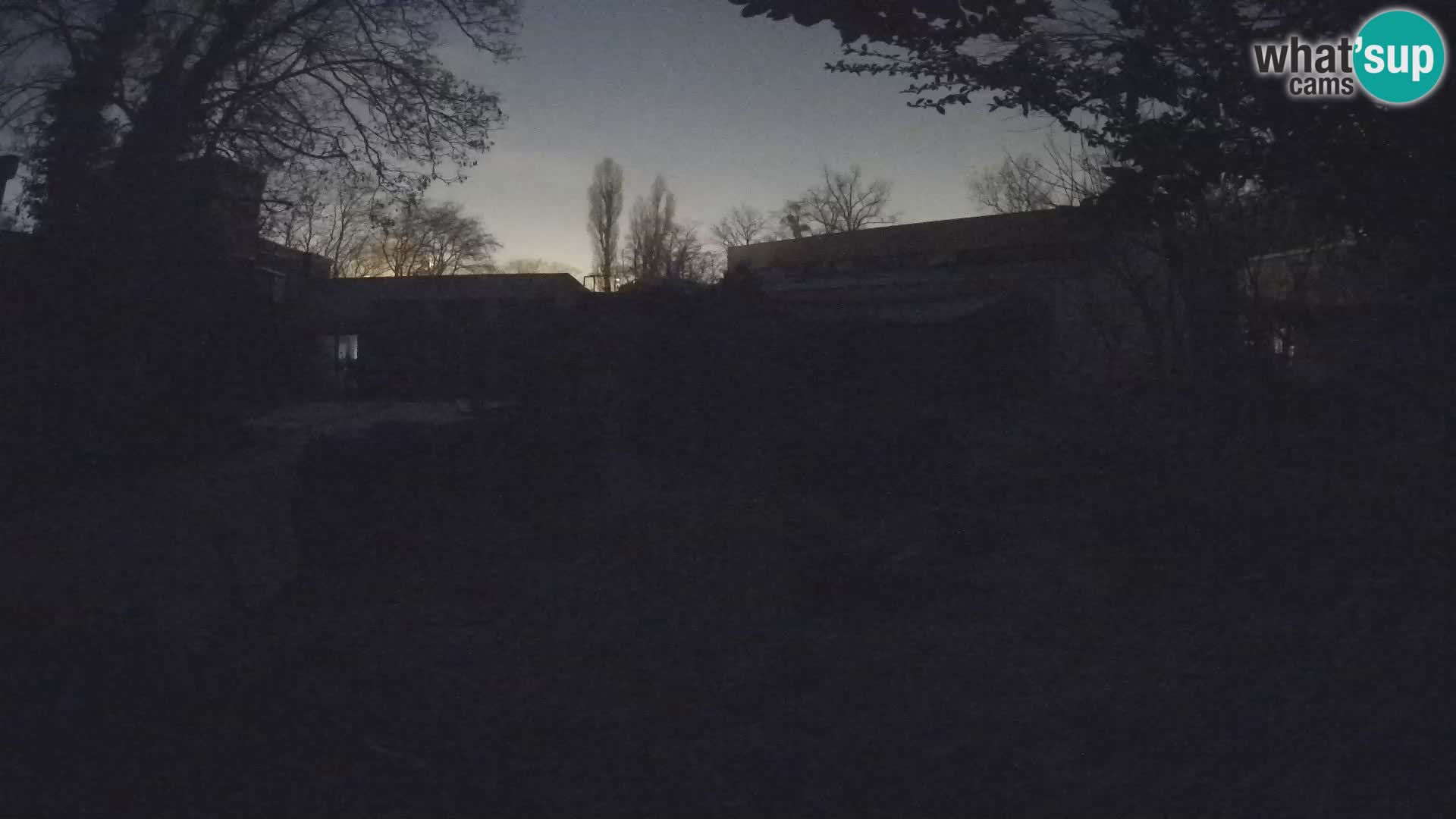 Zoo Zagreb – Surikate