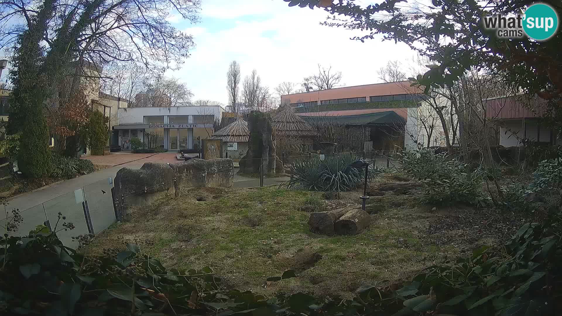 Zoo Zagreb – Erdmännchen