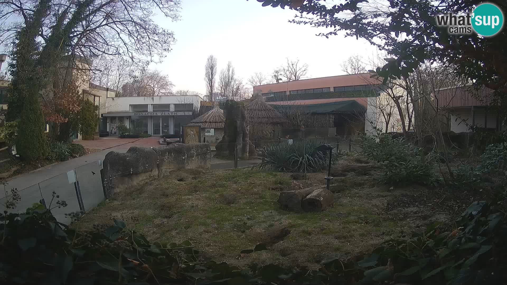 Zoo Zagreb – Erdmännchen
