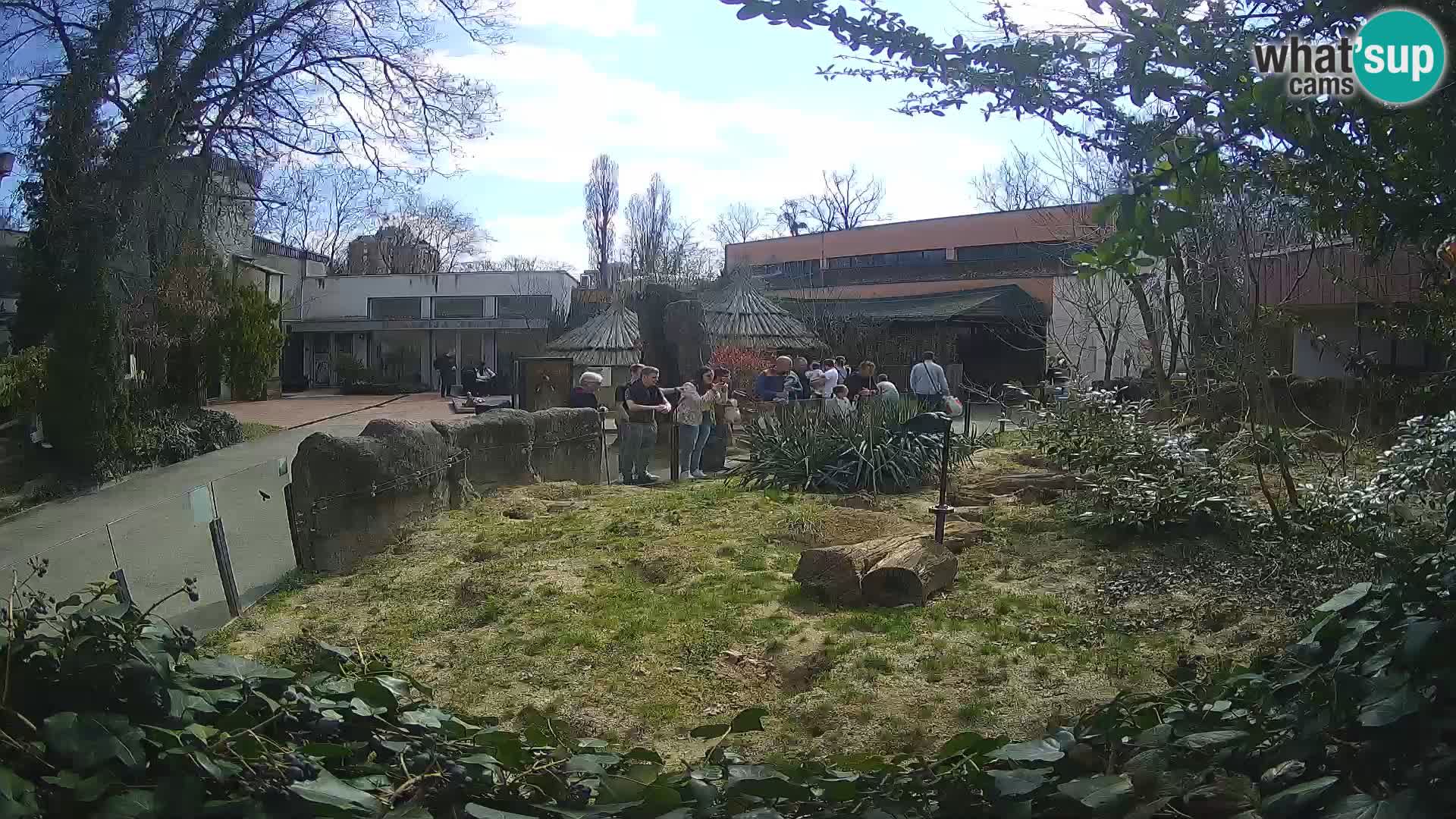 Zoo Zagreb – Erdmännchen