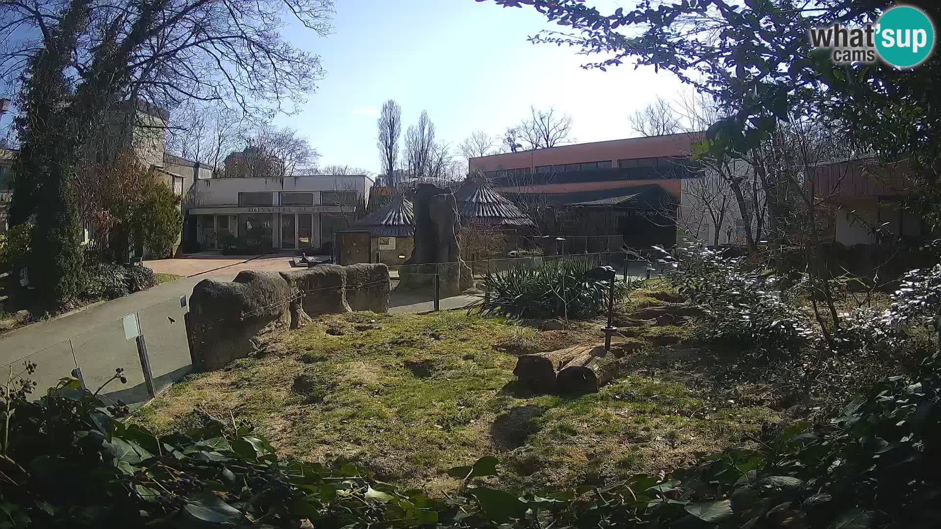 Zoo Zagreb – Erdmännchen