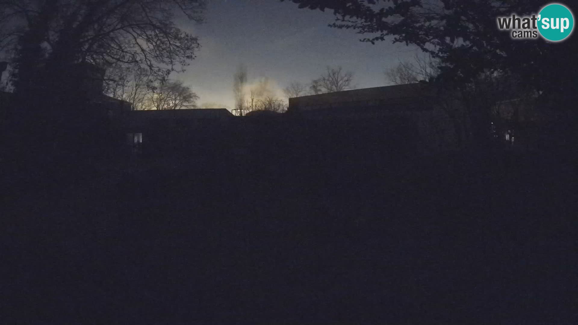 Zoo Zagreb – Merkat