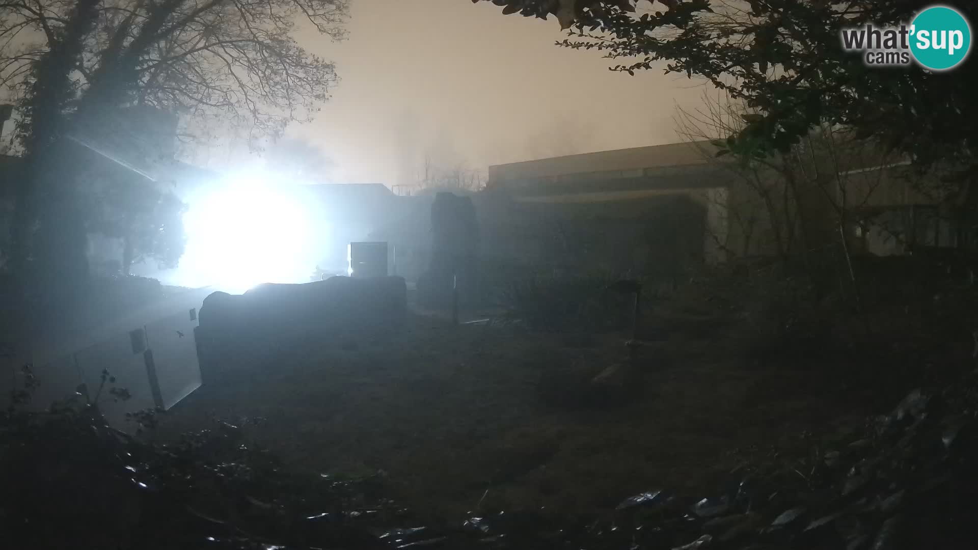 Zoo Zagreb – Surikate