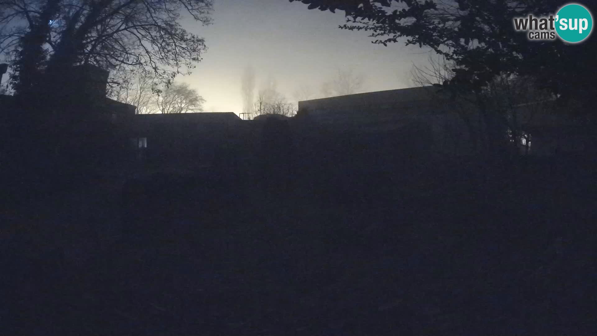 Zoo Zagreb – Suricata