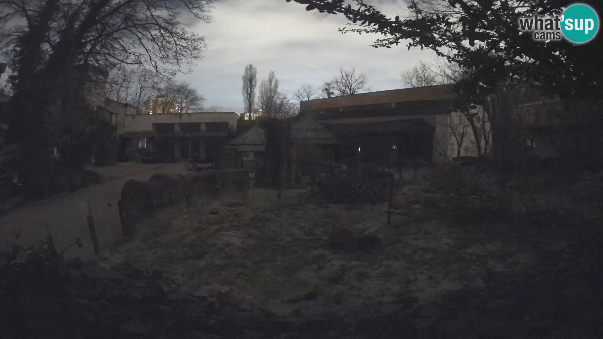 Zoo Zagreb – Erdmännchen