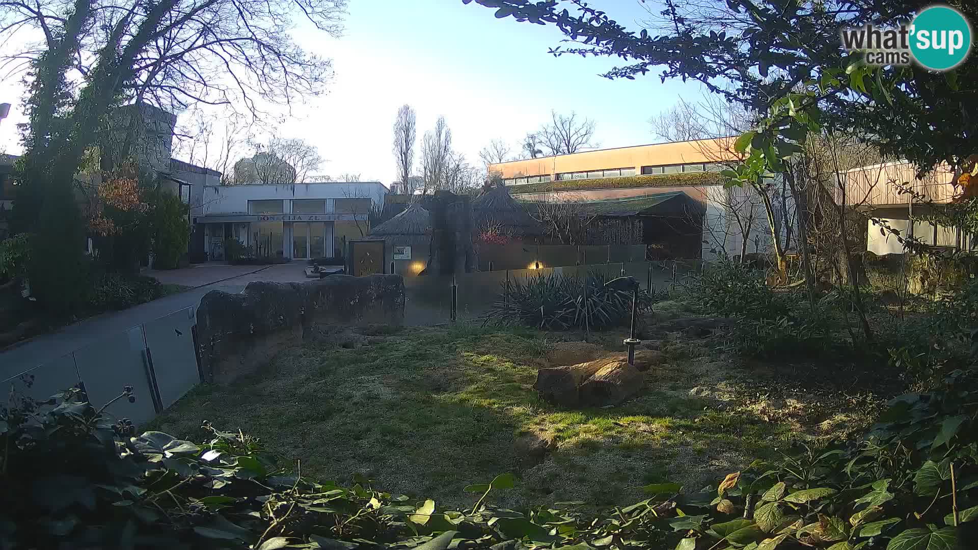 Zoo Zagreb – Surikate