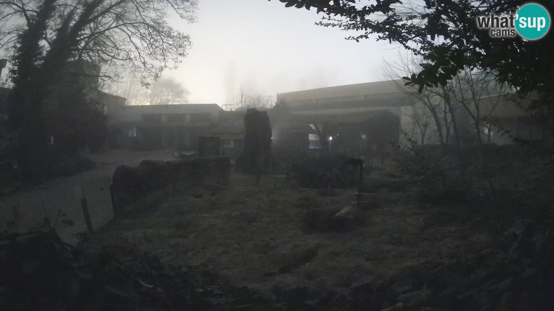 Zoo Zagreb – Merkat