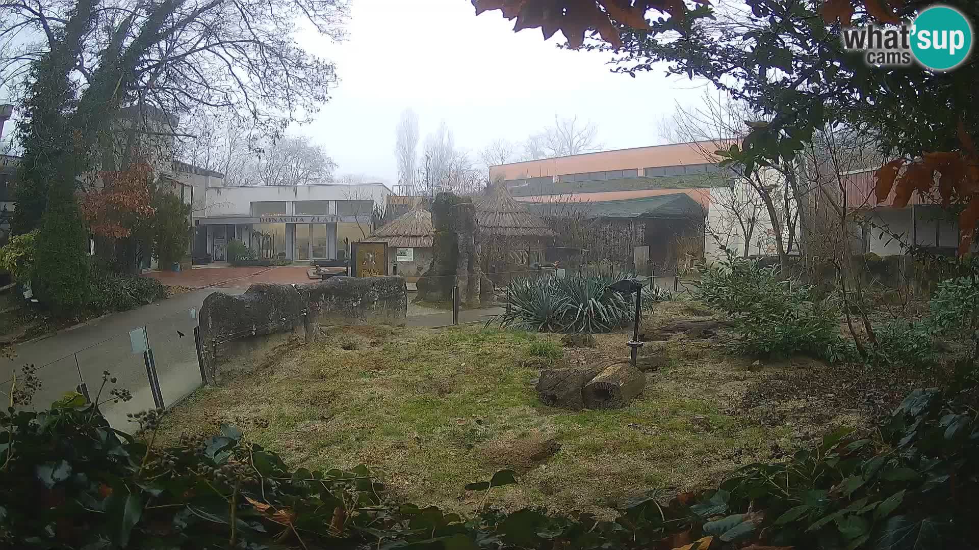 Zoo Zagreb – Merkat