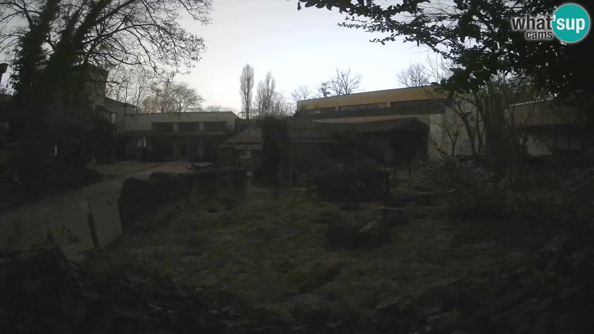 Zoo Zagreb – Erdmännchen