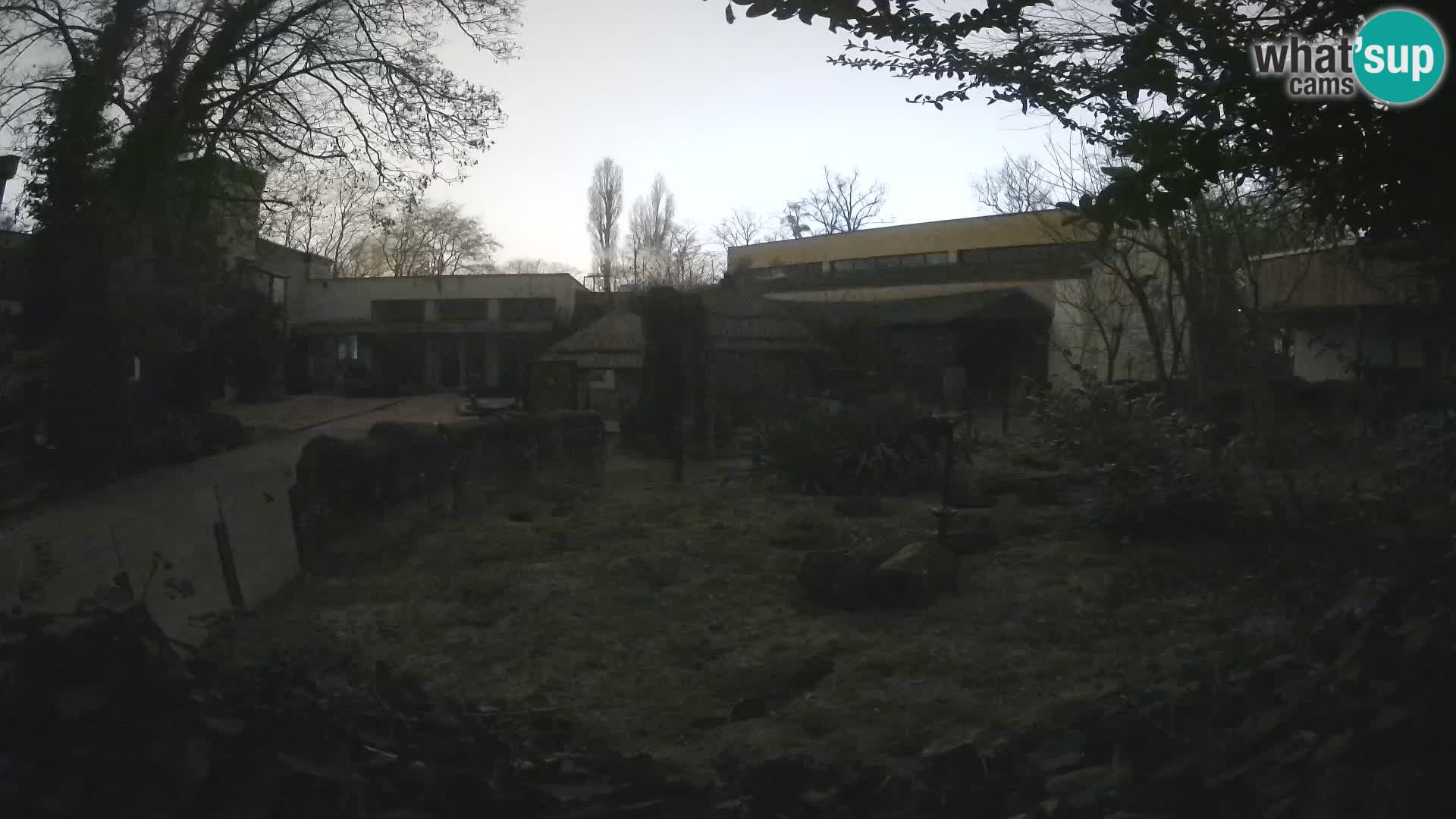 Zoo Zagreb – Surikate