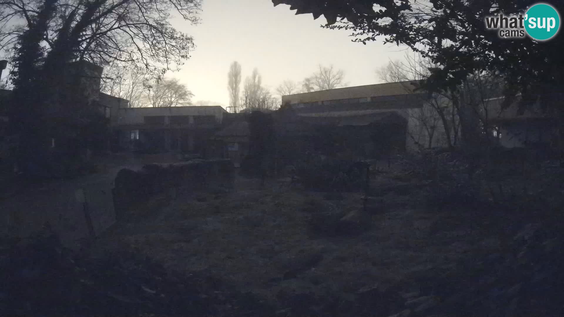 Zoo Zagreb – Erdmännchen