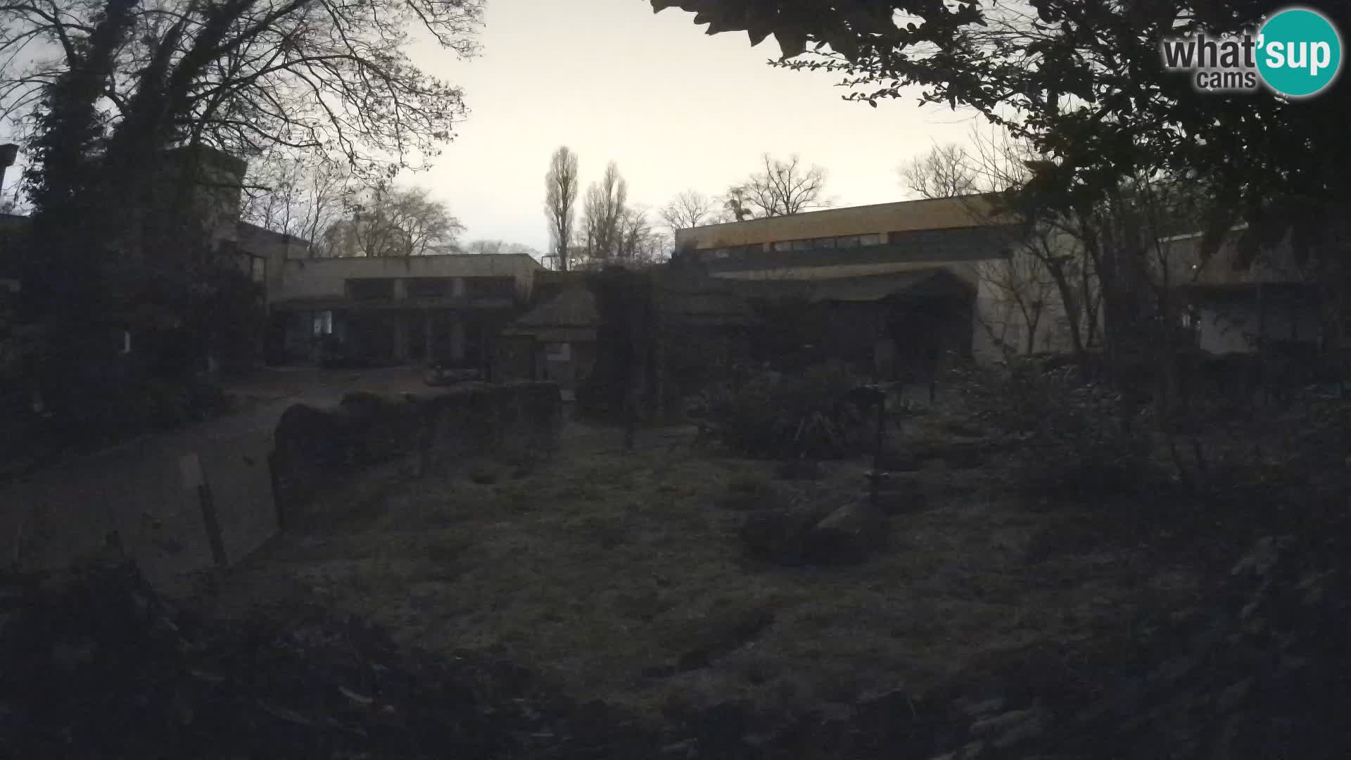 Zoo Zagreb – Surikate